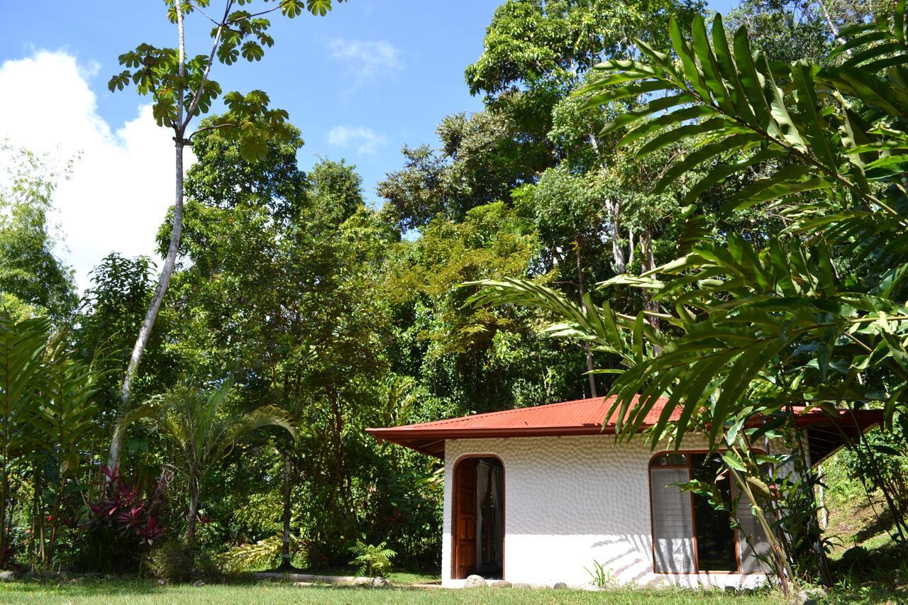 Natuga Ecolodge-Villas Dominical Baru Rum bild